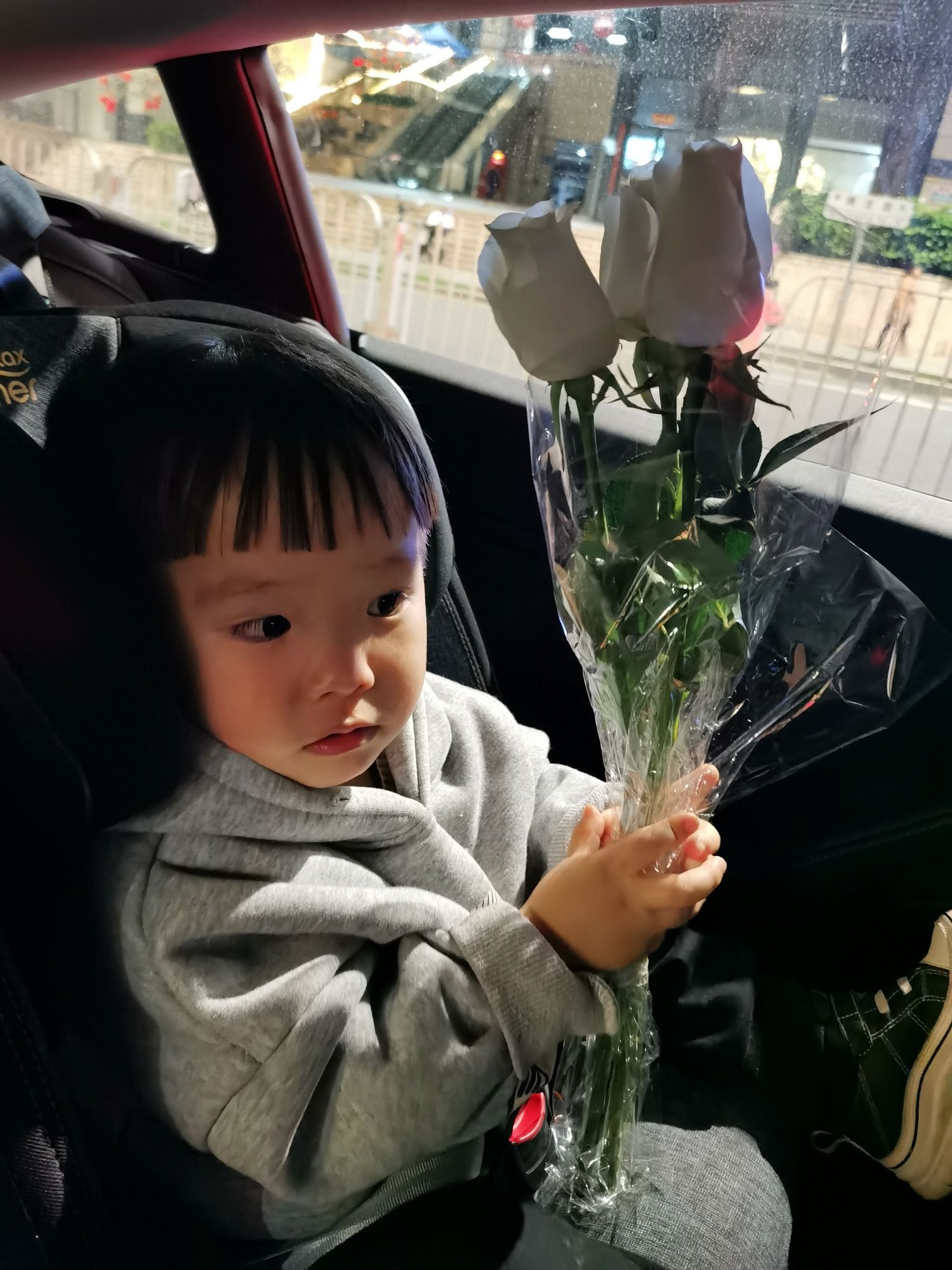 Cocoa Bean holds a bunch of roses for Mommy.