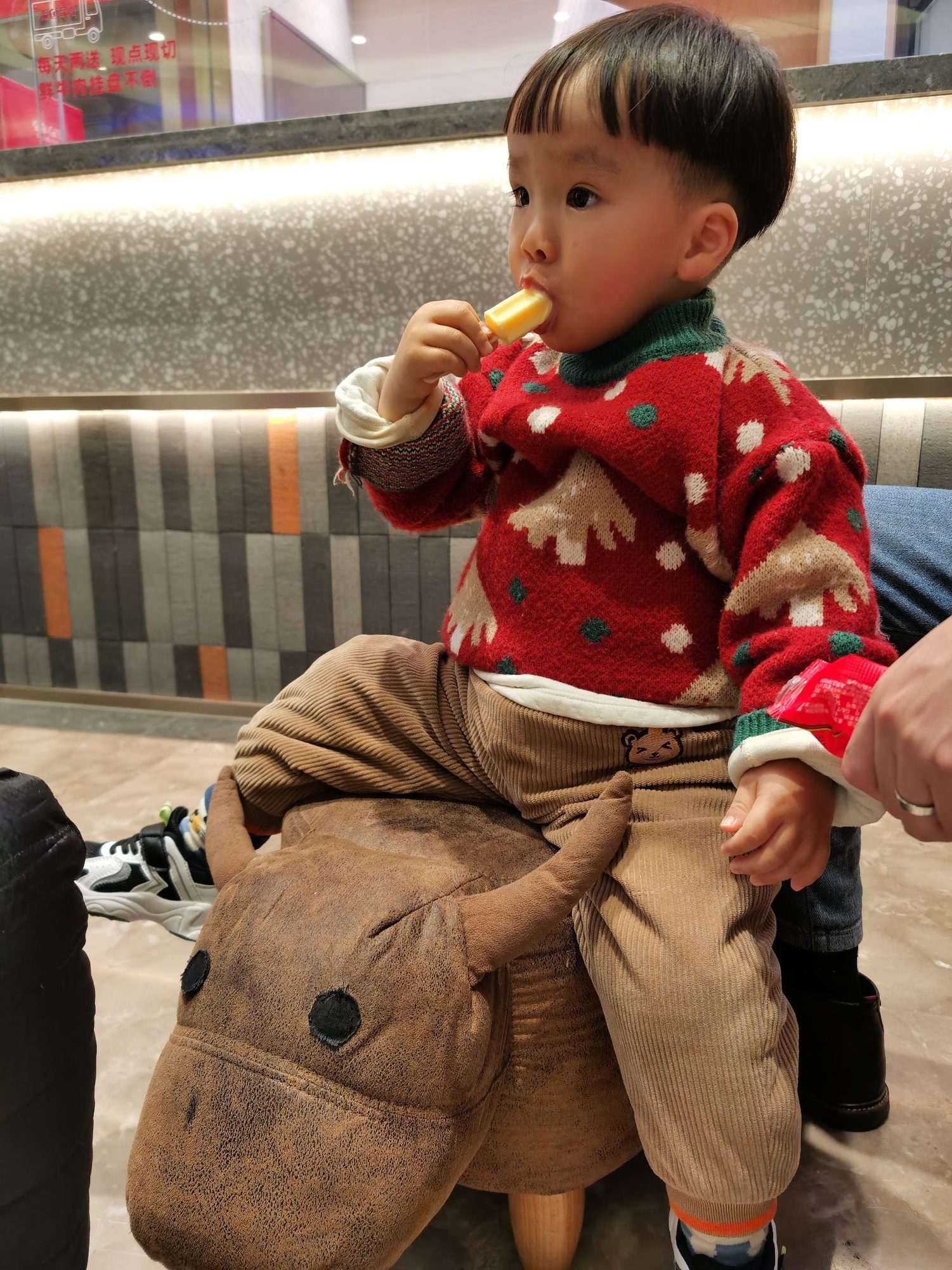 Cocoa Bean at the Chinese New Year.