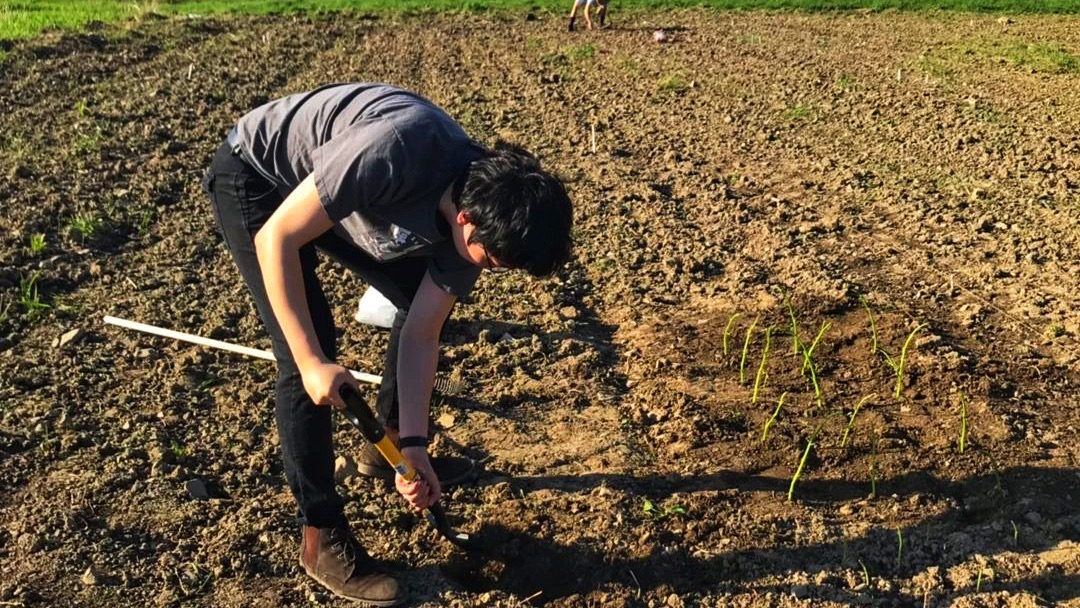 Qinan is farming.