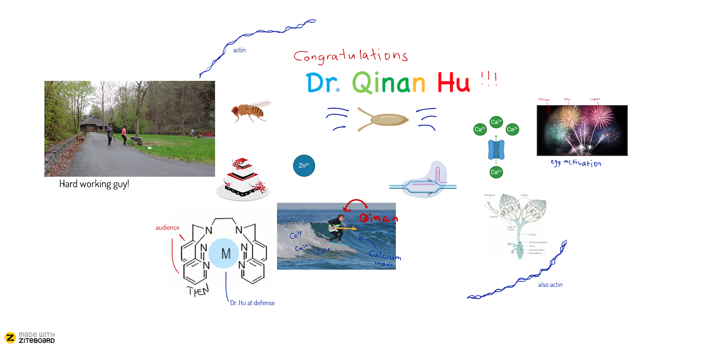 Dr.Hu's celebrating chalkboard online.