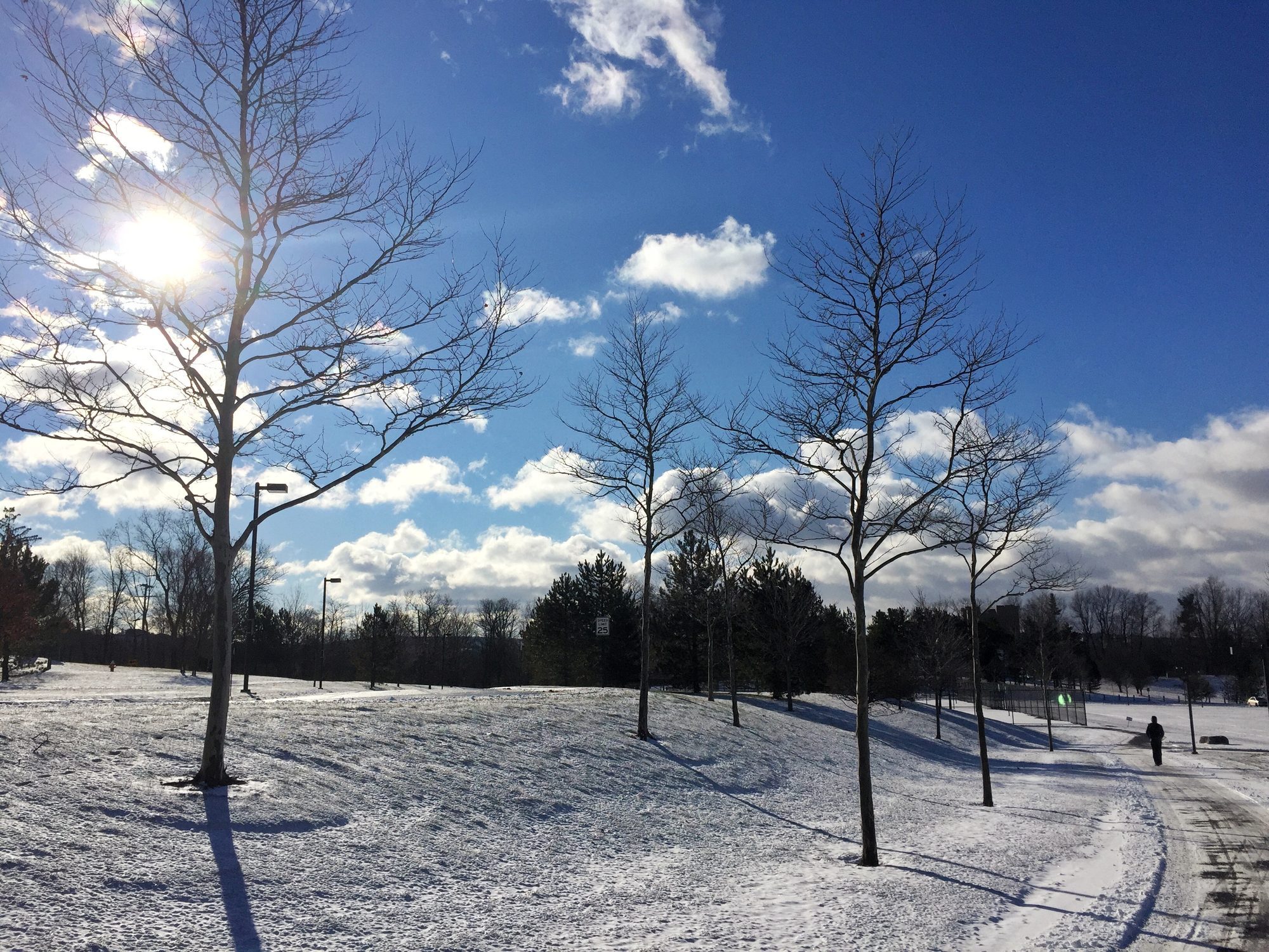 Scene of Cornell campus after snow
